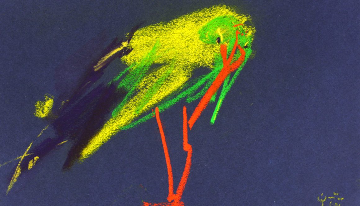 Torsten Schlüter, 2006, "Papageno", Kreide, 17,5x25,5cm