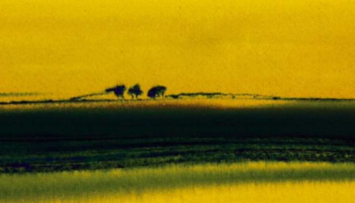 Torsten Schlüter, "Serengeti Nord", 2007, Aquarell, 12,5x45cm