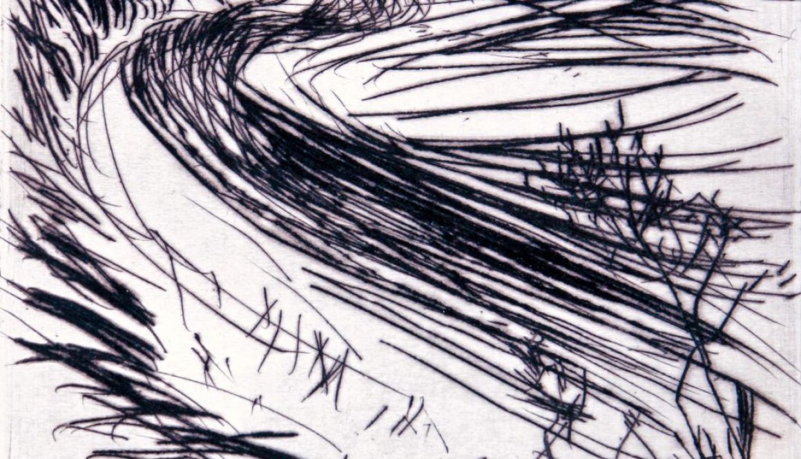 Torsten Schlüter, "Die Schlickwelle", Edition Hiddensee, 2010, Kaltnadelradierung, 20x20cm